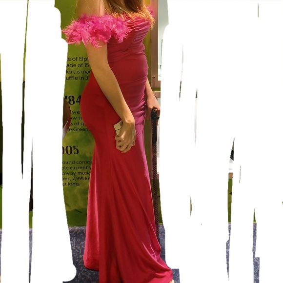 Hot Pink Feather Prom/Pageant Dress - Picture 5 of 5